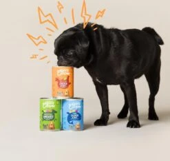 Edgard & Cooper Lam & Rund Blik - Voor Volwassen Honden - Hondenvoer - 12 X 400g 14 Edgard & Cooper Lam & Rund Blik - Voor Volwassen Honden - Hondenvoer - 12 X 400g -Hondenspullen Verkoop 1200x1138