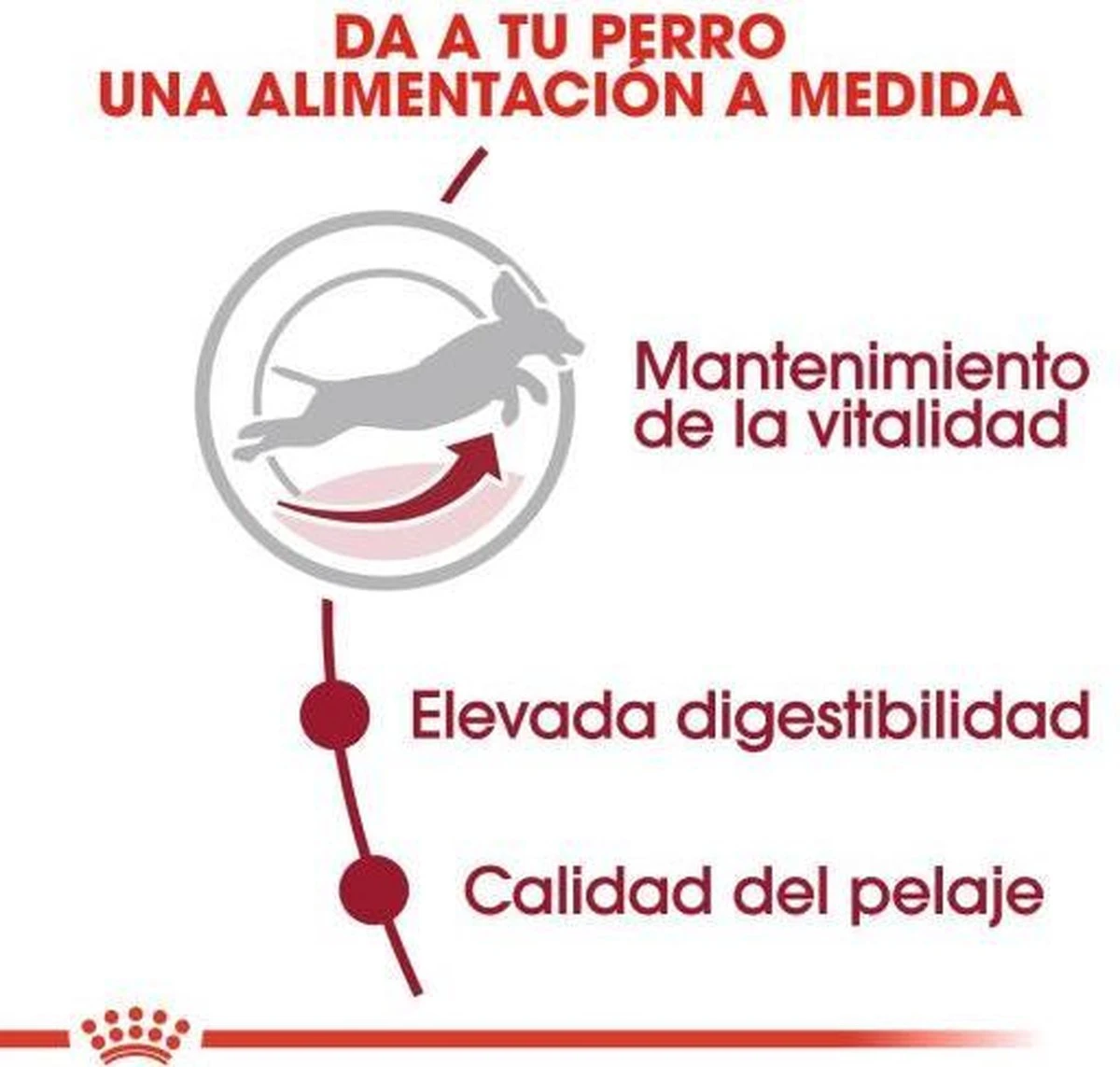 Royal Canin Medium Adult 7+ 15 KG 9 Royal Canin Medium Adult 7+ 15 KG - Afbeelding 7