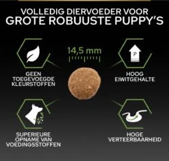 Pro Plan Healthy Start Puppy Large Robust - Honden Droogvoer - Kip - 12 Kg -Hondenspullen Verkoop 1200x1146 13