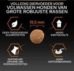 Pro Plan Everyday Nutrition Large Robust Adult - Honden Droogvoer - Kip - 14 Kg -Hondenspullen Verkoop 1200x1146 17