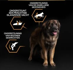 Pro Plan Everyday Nutrition Large Robust Adult - Honden Droogvoer - Kip - 14 Kg -Hondenspullen Verkoop 1200x1146 19
