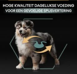 Pro Plan Medium Puppy Sensitive Digestion - Honden Droogvoer - Lam - 4 X 3 Kg 29 Pro Plan Medium Puppy Sensitive Digestion - Honden Droogvoer - Lam - 4 X 3 Kg -Hondenspullen Verkoop 1200x1146 27