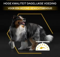 Pro Plan All Sizes Adult Light/Sterilised - Honden Droogvoer - Kip- 3 Kg 28 Pro Plan All Sizes Adult Light/Sterilised - Honden Droogvoer - Kip- 3 Kg -Hondenspullen Verkoop 1200x1146 3