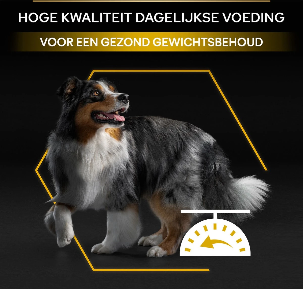 Pro Plan All Sizes Adult Light/Sterilised - Honden Droogvoer - Kip- 3 Kg 13 Pro Plan All Sizes Adult Light/Sterilised - Honden Droogvoer - Kip- 3 Kg - Afbeelding 11