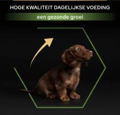 Pro Plan Healthy Start Puppy Small & Mini - Honden Droogvoer - Kip - 3 Kg -Hondenspullen Verkoop 1200x1146 38