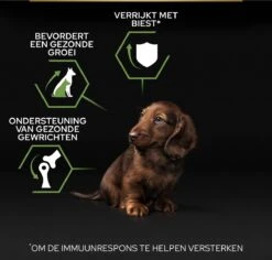 Pro Plan Healthy Start Puppy Small & Mini - Honden Droogvoer - Kip - 3 Kg -Hondenspullen Verkoop 1200x1146 39