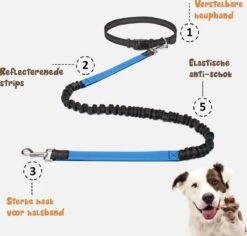Hardloopriem Hond – Honden Riem Handsfree – Hardlopen Met Hond – 160-260 Cm Blauw - Hardloopband Hond – Halsband Hond – Hondenlijn – Leiband Hond 17 Hardloopriem Hond – Honden Riem Handsfree – Hardlopen Met Hond – 160-260 Cm Blauw - Hardloopband Hond – Halsband Hond – Hondenlijn – Leiband Hond -Hondenspullen Verkoop 1200x1146 49
