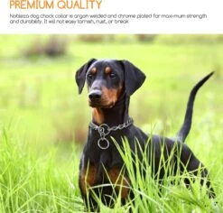 Nobleza Slipketting Hond - Sliphalsband - Trainingshalsband - Hondenketting - Maat L 10 Nobleza Slipketting Hond - Sliphalsband - Trainingshalsband - Hondenketting - Maat L -Hondenspullen Verkoop 1200x1146 51