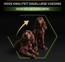 Pro Plan Healthy Start Puppy Large Athletic - Honden Droogvoer - Kip - 12 Kg -Hondenspullen Verkoop 1200x1146 8