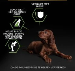 Pro Plan Healthy Start Puppy Large Athletic - Honden Droogvoer - Kip - 12 Kg -Hondenspullen Verkoop 1200x1146 9