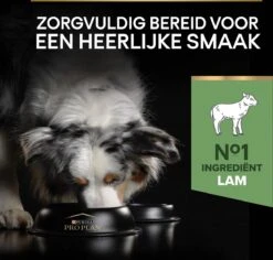 Pro Plan Medium Adult Sensitive Digestion - Honden Droogvoer - Lam - 14 Kg 28 Pro Plan Medium Adult Sensitive Digestion - Honden Droogvoer - Lam - 14 Kg -Hondenspullen Verkoop 1200x1147 2