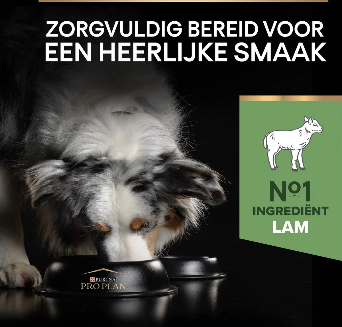 Pro Plan Medium Adult Sensitive Digestion - Honden Droogvoer - Lam - 14 Kg 13 Pro Plan Medium Adult Sensitive Digestion - Honden Droogvoer - Lam - 14 Kg - Afbeelding 11