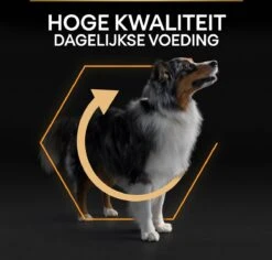 Pro Plan Medium Adult Everyay Nutrition - Honden Droogvoer - Kip - 14 Kg -Hondenspullen Verkoop 1200x1147 5