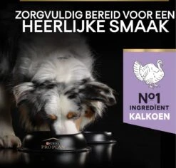 Pro Plan Graanvrij Medium & Large Adult Sensitive Digestion - Honden Droogvoer- Kalkoen - 12 Kg -Hondenspullen Verkoop 1200x1148 1