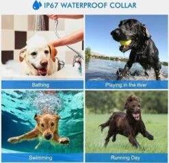 Anti Blafband EN Trainingshalsband In 1 - UNIEK SYSTEEM - 1000m Bereik - 100 Levels -Hondenspullen Verkoop 1200x1154 4