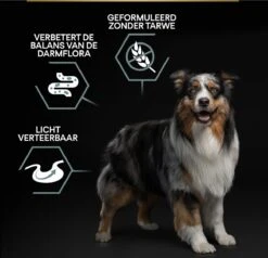 Pro Plan Graanvrij Medium & Large Adult Sensitive Digestion - Honden Droogvoer- Kalkoen - 12 Kg -Hondenspullen Verkoop 1200x1157