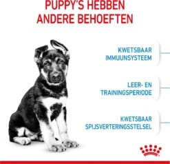 Royal Canin Maxi Puppy 4 KG -Hondenspullen Verkoop 1200x1158 2