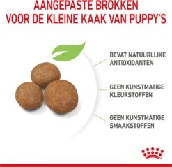 Royal Canin Maxi Puppy 4 KG -Hondenspullen Verkoop 1200x1159 10