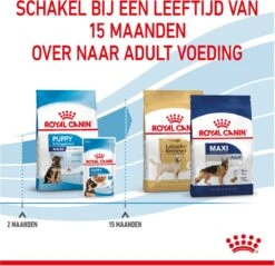Royal Canin Maxi Puppy 4 KG -Hondenspullen Verkoop 1200x1159 15