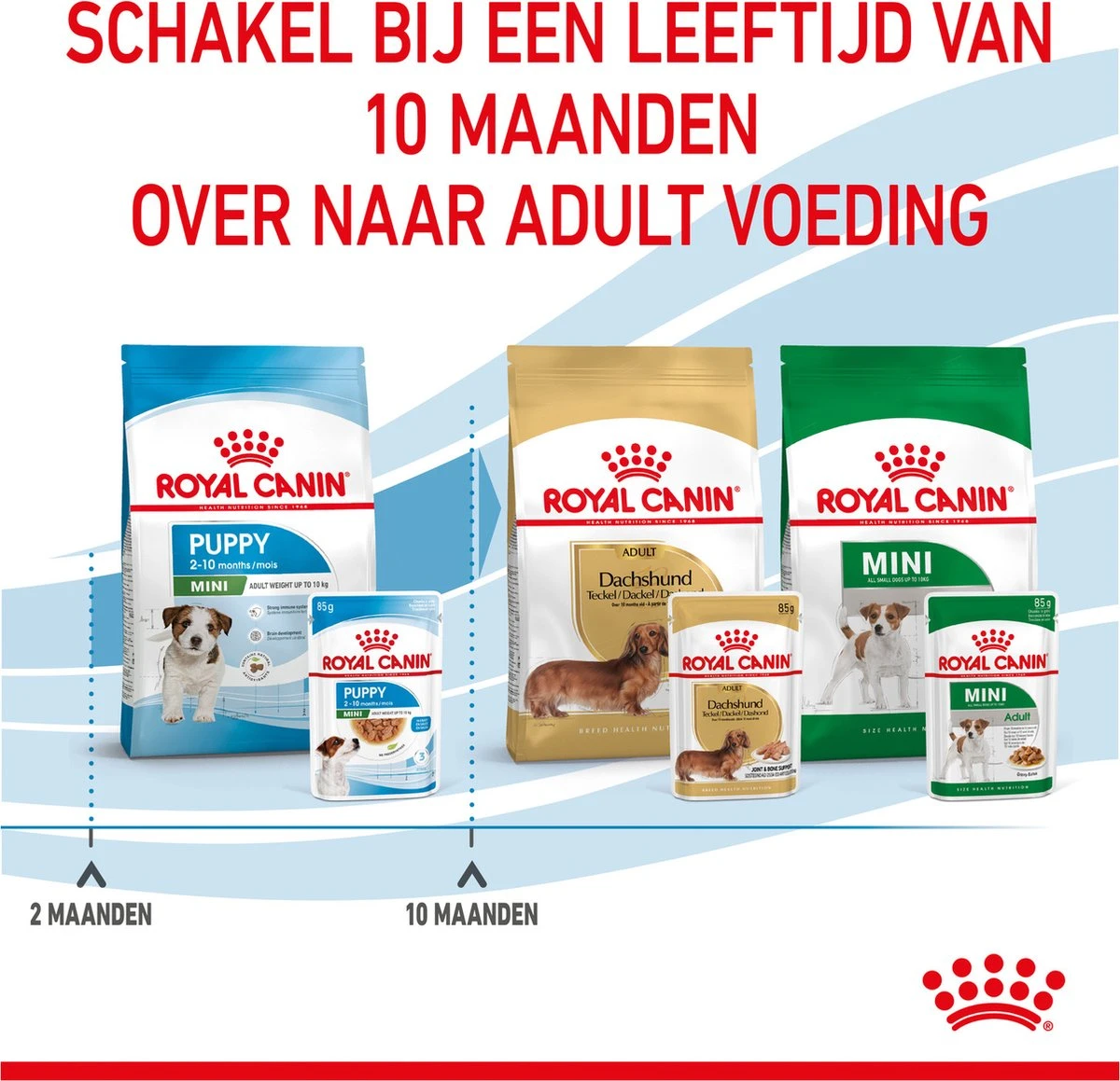 Royal Canin Shn Mini Puppy Pouch - Hondennatvoer - 12 X 85 G 12 Royal Canin Shn Mini Puppy Pouch - Hondennatvoer - 12 X 85 G - Afbeelding 10