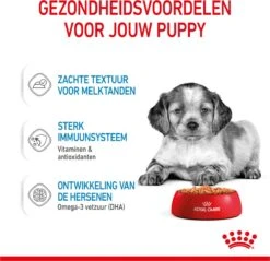 Royal Canin Shn Medium Puppy Pouch - Hondenvoer - 10 X 140 G -Hondenspullen Verkoop 1200x1159 33