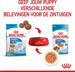 Royal Canin Shn Medium Puppy Pouch - Hondenvoer - 10 X 140 G -Hondenspullen Verkoop 1200x1159 34
