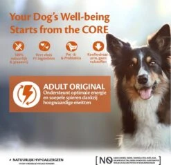 Wellness Core Grain Free Dog Original Kalkoen & Kip - Hondenvoer - 10 Kg 12 Wellness Core Grain Free Dog Original Kalkoen & Kip - Hondenvoer - 10 Kg -Hondenspullen Verkoop 1200x1160 1