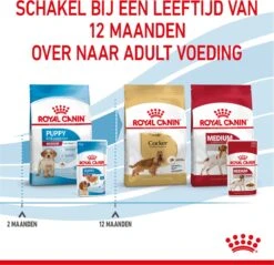 Royal Canin Shn Medium Puppy Pouch - Hondenvoer - 10 X 140 G -Hondenspullen Verkoop 1200x1160 3