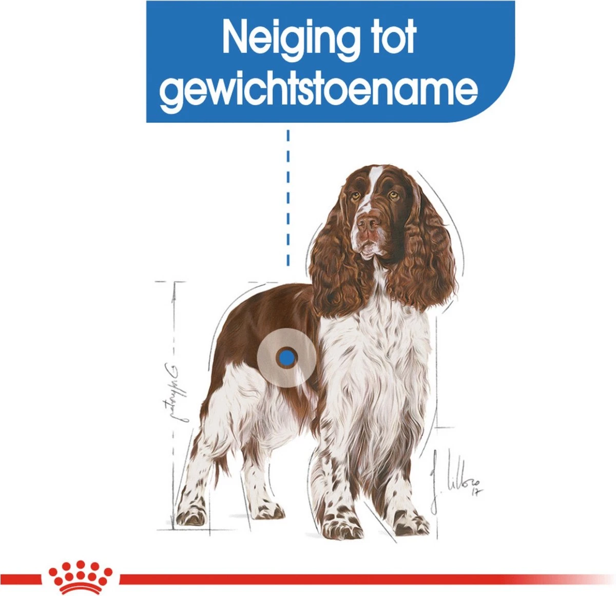 Royal Canin Light Weight Care Medium - Hondenvoer - 12 Kg 9 Royal Canin Light Weight Care Medium - Hondenvoer - 12 Kg - Afbeelding 7