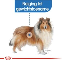 Royal Canin Light Weight Care Maxi - Hondenvoer - 12 Kg 19 Royal Canin Light Weight Care Maxi - Hondenvoer - 12 Kg -Hondenspullen Verkoop 1200x1161