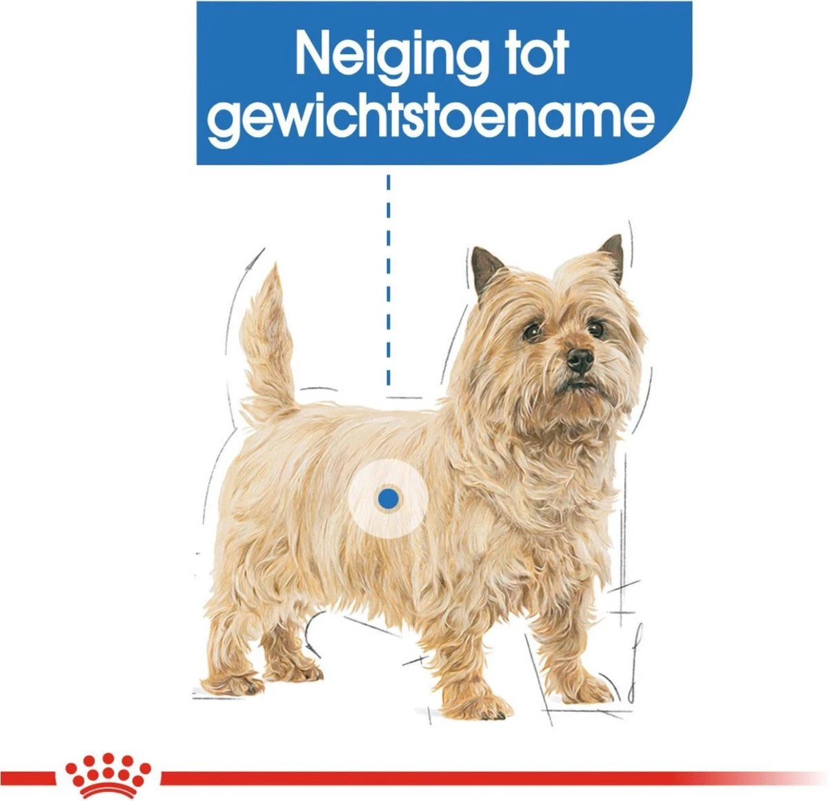 Royal Canin Ccn Light Weight Care Mini - Hondenvoer - 3 Kg 4 Royal Canin Ccn Light Weight Care Mini - Hondenvoer - 3 Kg - Afbeelding 2