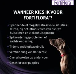 Pro Plan Veterinary Diets - FortiFlora Canine - Probiotic - 30 X 1 Gram 10 Pro Plan Veterinary Diets - FortiFlora Canine - Probiotic - 30 X 1 Gram -Hondenspullen Verkoop 1200x1161 8