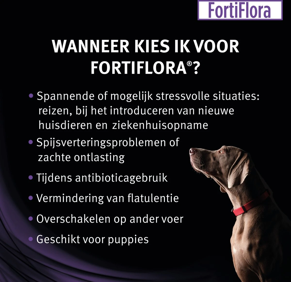 Pro Plan Veterinary Diets - FortiFlora Canine - Probiotic - 30 X 1 Gram 5 Pro Plan Veterinary Diets - FortiFlora Canine - Probiotic - 30 X 1 Gram - Afbeelding 3