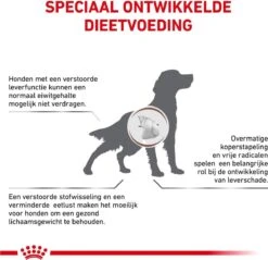 Royal Canin Hepatic Diet - Hondenvoer - 12 Kg -Hondenspullen Verkoop 1200x1162 4