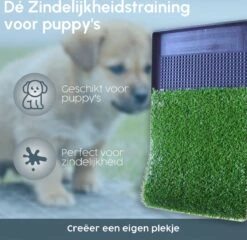 Merkloos Gtrise Hondentoilet Met 2 Matten - Out/Indoor - Zindelijkheidstraining Ebook - Dieren Wc 13 Merkloos Gtrise Hondentoilet Met 2 Matten - Out/Indoor - Zindelijkheidstraining Ebook - Dieren Wc -Hondenspullen Verkoop 1200x1164 9
