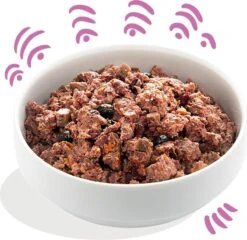 Edgard & Cooper Wild & Eend Blik - Voor Volwassen Honden - Hondenvoer - 12 X 400g -Hondenspullen Verkoop 1200x1166 3