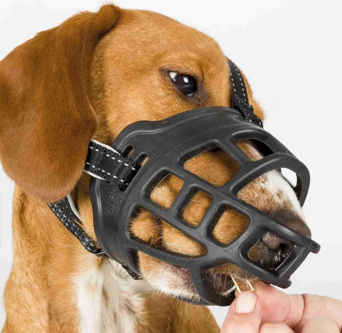 TRIXIE Honden Muilkorf Flex Maat L 17614 5 TRIXIE Honden Muilkorf Flex Maat L 17614 - Afbeelding 3