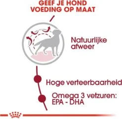 Royal Canin Medium Adult 15 KG -Hondenspullen Verkoop 1200x1167