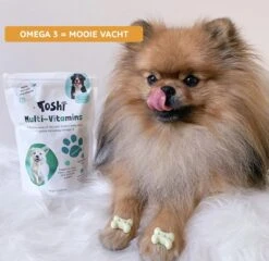 Toshi Multi Vitaminen Met Omega-3 - 100% Natuurlijke Hondensnack Voor Kleine En Grote Honden - Hondenkoekjes Voor Een Gezonde Levensstijl 12 Toshi Multi Vitaminen Met Omega-3 - 100% Natuurlijke Hondensnack Voor Kleine En Grote Honden - Hondenkoekjes Voor Een Gezonde Levensstijl -Hondenspullen Verkoop 1200x1167 4