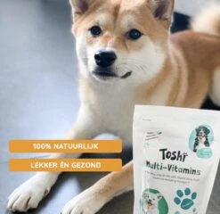 Toshi Multi Vitaminen Met Omega-3 - 100% Natuurlijke Hondensnack Voor Kleine En Grote Honden - Hondenkoekjes Voor Een Gezonde Levensstijl 14 Toshi Multi Vitaminen Met Omega-3 - 100% Natuurlijke Hondensnack Voor Kleine En Grote Honden - Hondenkoekjes Voor Een Gezonde Levensstijl -Hondenspullen Verkoop 1200x1167 5