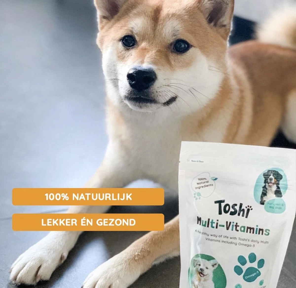 Toshi Multi Vitaminen Met Omega-3 - 100% Natuurlijke Hondensnack Voor Kleine En Grote Honden - Hondenkoekjes Voor Een Gezonde Levensstijl 8 Toshi Multi Vitaminen Met Omega-3 - 100% Natuurlijke Hondensnack Voor Kleine En Grote Honden - Hondenkoekjes Voor Een Gezonde Levensstijl - Afbeelding 6