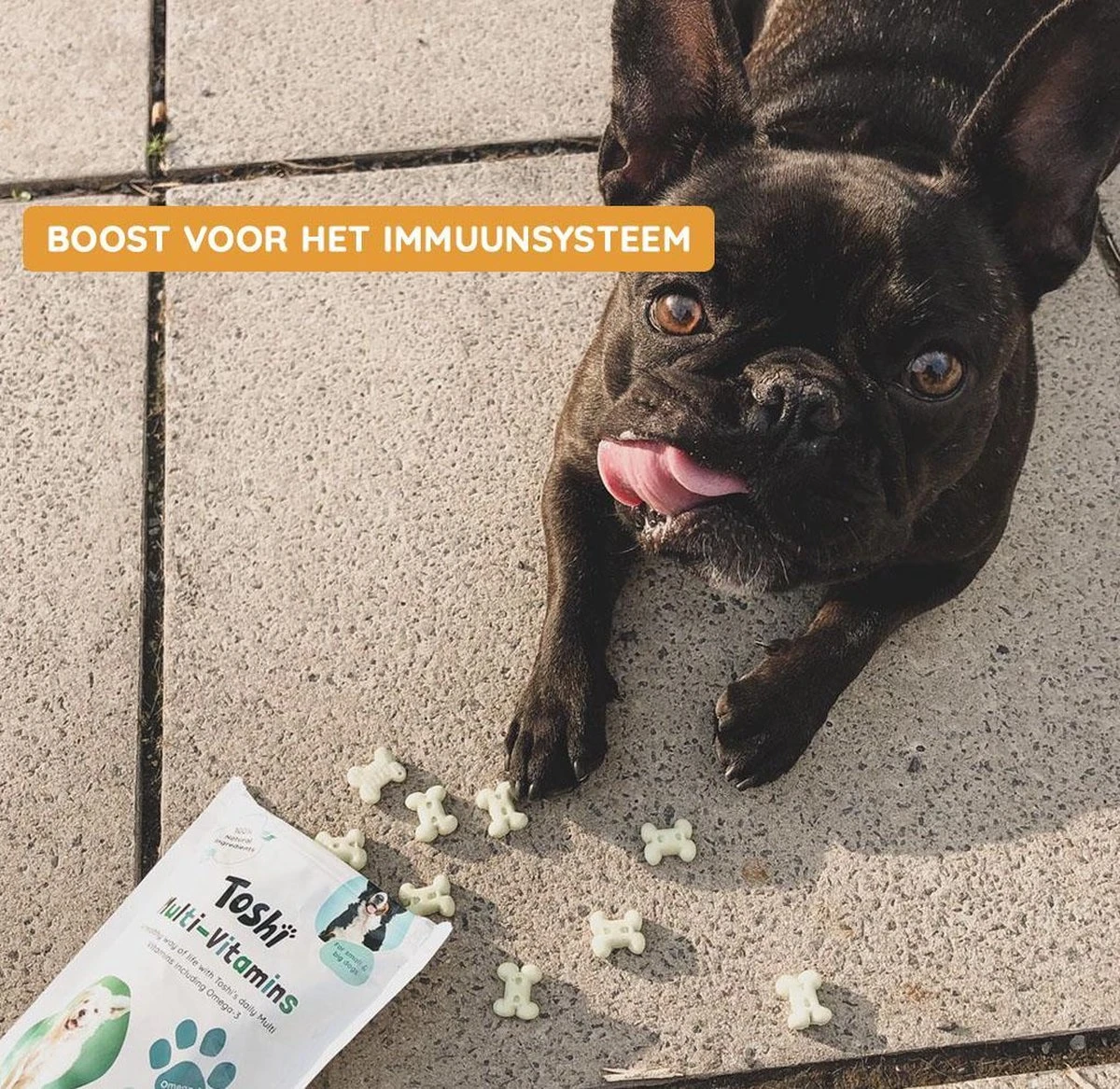 Toshi Multi Vitaminen Met Omega-3 - 100% Natuurlijke Hondensnack Voor Kleine En Grote Honden - Hondenkoekjes Voor Een Gezonde Levensstijl 9 Toshi Multi Vitaminen Met Omega-3 - 100% Natuurlijke Hondensnack Voor Kleine En Grote Honden - Hondenkoekjes Voor Een Gezonde Levensstijl - Afbeelding 7