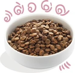 Edgard & Cooper Verse Scharreleend & Kip Puppy - Hondenvoer - 7kg 22 Edgard & Cooper Verse Scharreleend & Kip Puppy - Hondenvoer - 7kg -Hondenspullen Verkoop 1200x1168 4