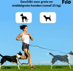 Filo Elastische Hondenriem Groot - Hardlopen En Wandelen - Hardloopriem Hond Handsfree Met Heuptasje - Looplijn Met Heupriem - Canicross Gordel Honden - Riemen - Heupgordel - Leiband -Hondenspullen Verkoop 1200x1168 5