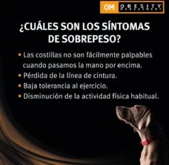 Purina Pro Plan Veterinary Diets Canine OM Obesity Management Hondenvoer 12 Kg -Hondenspullen Verkoop 1200x1171 3