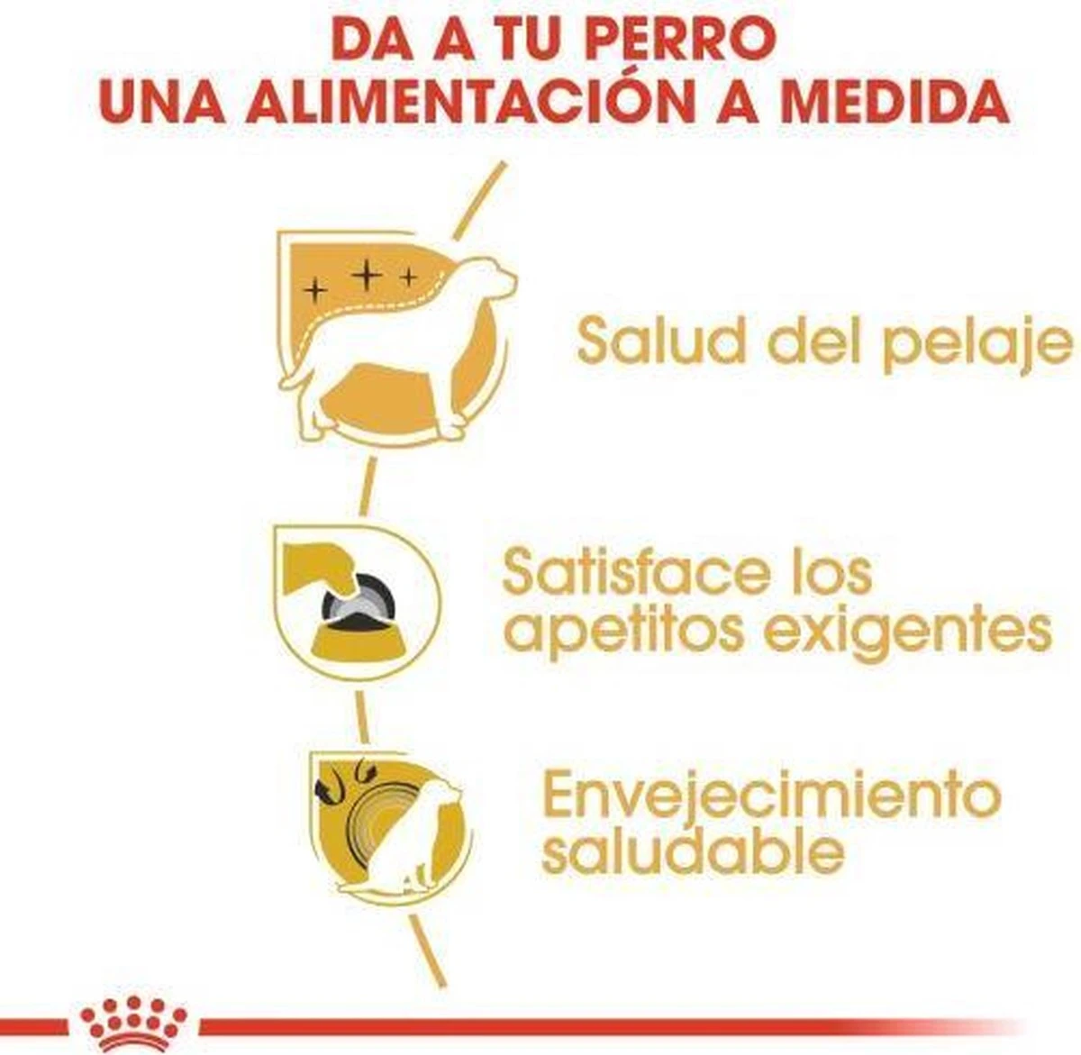 Royal Canin Yorkshire Terrier Adult - Hondenvoer - 3 Kg 5 Royal Canin Yorkshire Terrier Adult - Hondenvoer - 3 Kg - Afbeelding 3