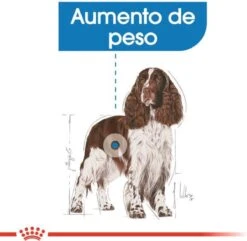 Royal Canin Light Weight Care Medium - Hondenvoer - 12 Kg 17 Royal Canin Light Weight Care Medium - Hondenvoer - 12 Kg -Hondenspullen Verkoop 1200x1172 1