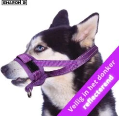 Sharon B Muilkorf Paars Maat M - Fleece - Wasbaar - Reflecterend 12 Sharon B Muilkorf Paars Maat M - Fleece - Wasbaar - Reflecterend -Hondenspullen Verkoop 1200x1173 6