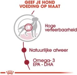 Royal Canin Shn Medium Adult Pouch - Hondenvoer - 10 X 140 G 15 Royal Canin Shn Medium Adult Pouch - Hondenvoer - 10 X 140 G -Hondenspullen Verkoop 1200x1175 1