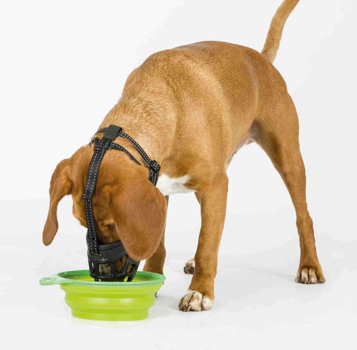 TRIXIE Honden Muilkorf Flex Maat L 17614 4 TRIXIE Honden Muilkorf Flex Maat L 17614 - Afbeelding 2